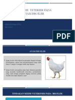 Tindakan Medis Veterier Pada Peternakan Ayam Broiler