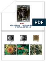 FG1920 Tema 1 Naturaleza y Estructura Mat Gen