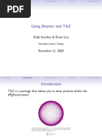 Using Beamer and Tikz: Robb Koether & Brian Lins