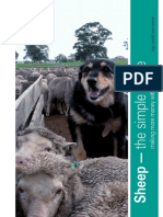 HRZ Sheep Management Final Artwork Low Res For Email PDF