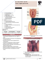 B14PathologyL1 - Diseases of The Vulva, Vaginal, and Cervix
