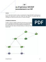 TP BGP Ixp PDF
