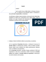 taller division celular