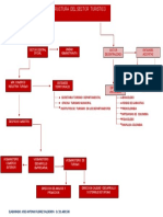 Estructura Del Sector Turismo