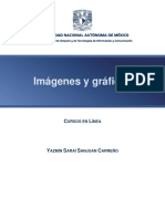 ImagenesyGraficas PDF