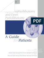 Open Nephrolithotomy and Open Pyelolithotomy: A Guide