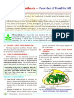 06 - Photosynthesis PDF