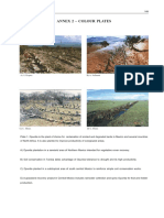 Annex 2 - Colour Plates: Opuntia As Forage