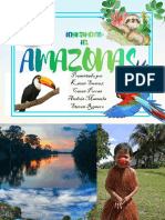 AMAZONAS 1b