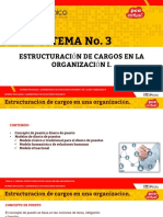 3-Estructuracion de Cargos en La Organizacion Recursos Humanos