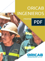 Brochure Oricab - 2020 PDF
