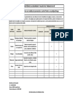 Matriz Jerarquización PDF