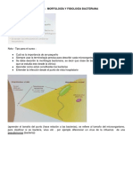 Morfología y Fisiología Bacterianas - MA