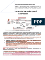 6.diagnóstico Bacteriológico Por El Laboratorio PDF