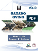 Manual Ovino Buenas Practicas PDF
