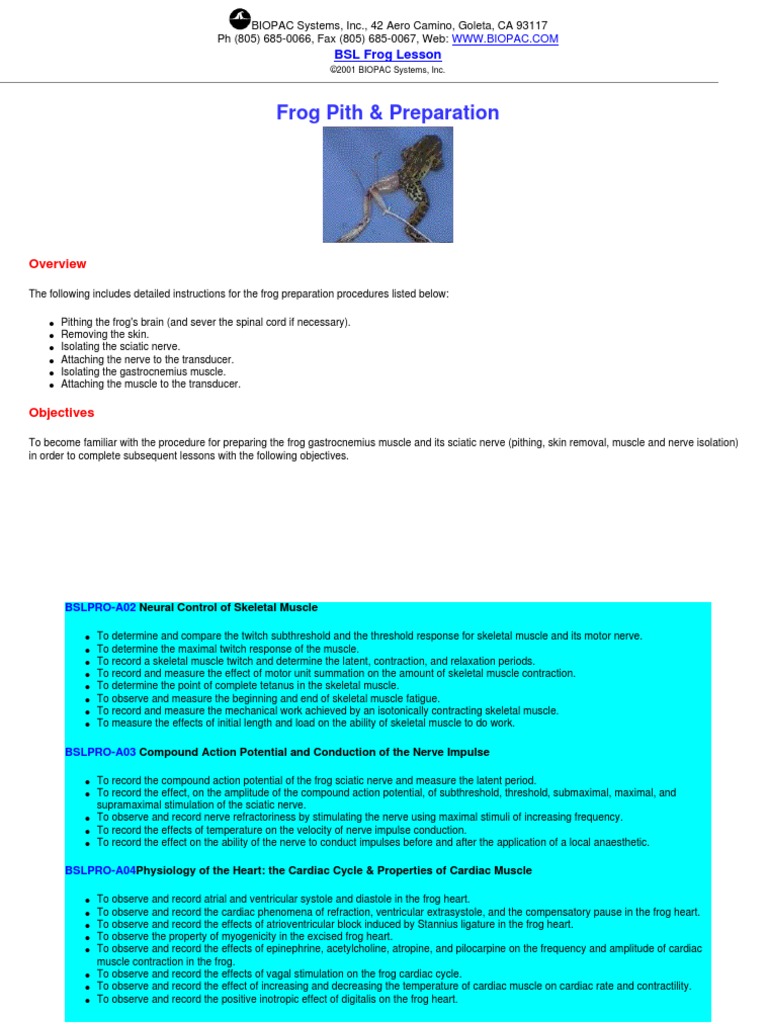 Frog PDF | PDF