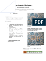 Experimento Palillos - Vivian Peña PDF