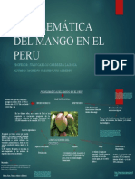 Problemática Del Mango en El Peru