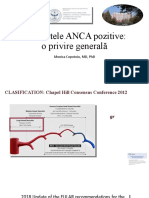 Vasculitele Anca Pozitive: O Privire Generală: Monica Copotoiu, MD, PHD