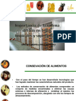 cadenadelfrio-100825130956-phpapp02.pdf