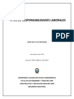 Tiipos de Responsabilidades Laborales