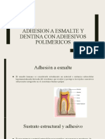 Adhesion A Esmalte y Dentina Con Adhesivos Polimericos