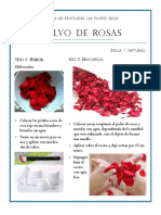 Polvo de Rosas PDF