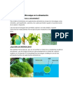 Microalgas en La Alimentación