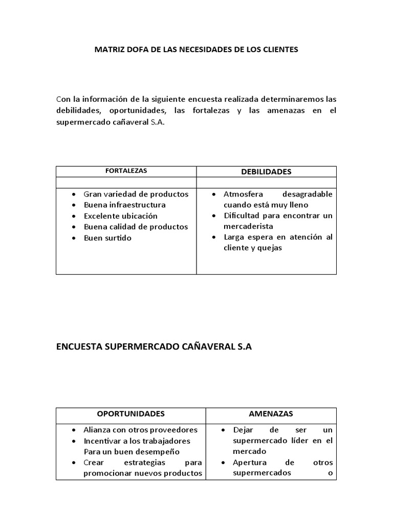 Matriz Dofa de Las Necesidades de Los Clientes | PDF | Negocios ...