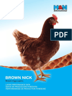 HN_Brown_Nick_Egg_Layer-Performance_Data