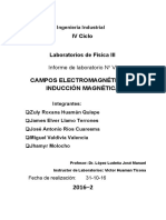 Campos e Inducción Electromagnética PDF
