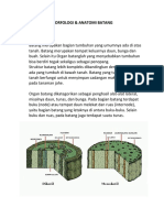 MORFOLOGI Dan Anatomi Batang