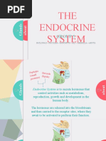 THE Endocrine System: Group 5