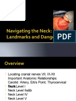 Important Surgical Landmarks in Neck
