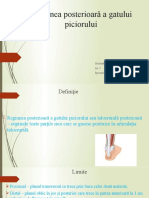 Regiunea Posterioara A Gatului Piciorului