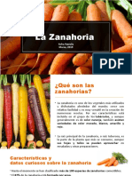 La Zanahoria - YPetrella
