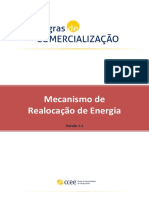 Mre 1.1 PDF