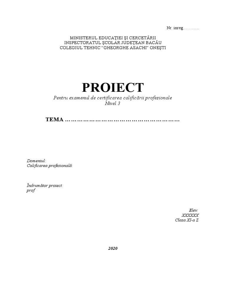 Model Proiect Ex. Comp. Prof. Nivel 3 | PDF