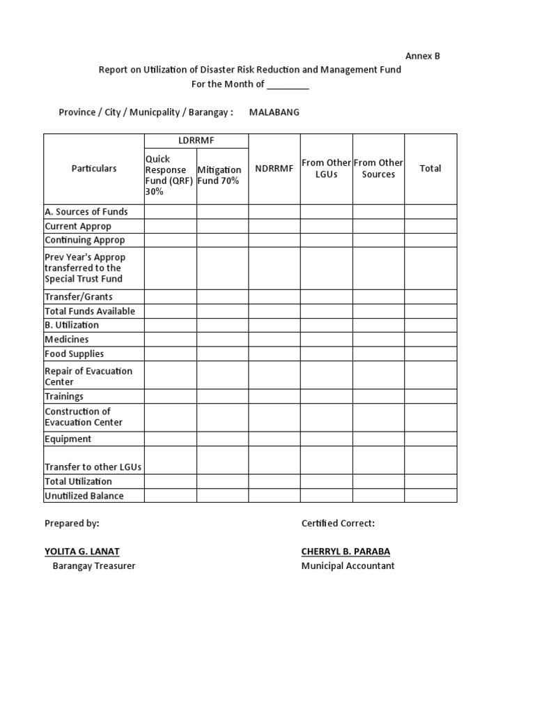 LDRRMF Utilization Report for Malabang | PDF | Social Science | Finance ...