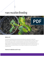 Newsletter: Plant Mutation Breeding