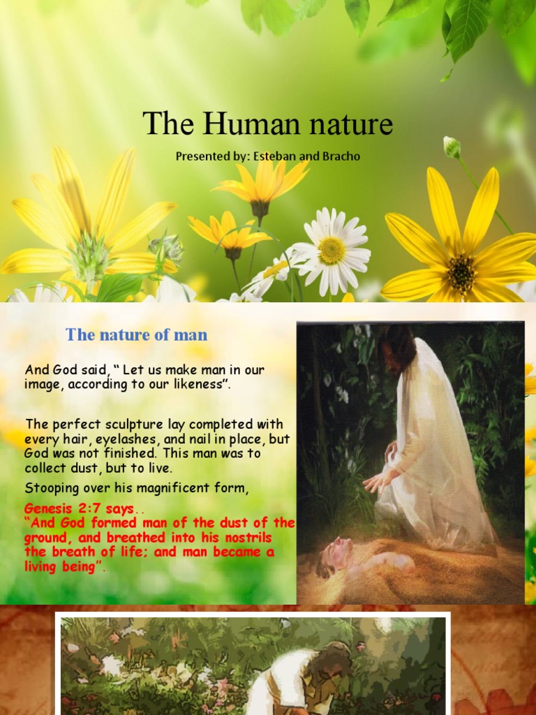 The Human Nature: Presented By: Esteban and Bracho | PDF | Adam ...
