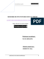 Audit Des Immobilisations Corporelles PWC PDF