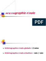 ARtério rénale.pdf