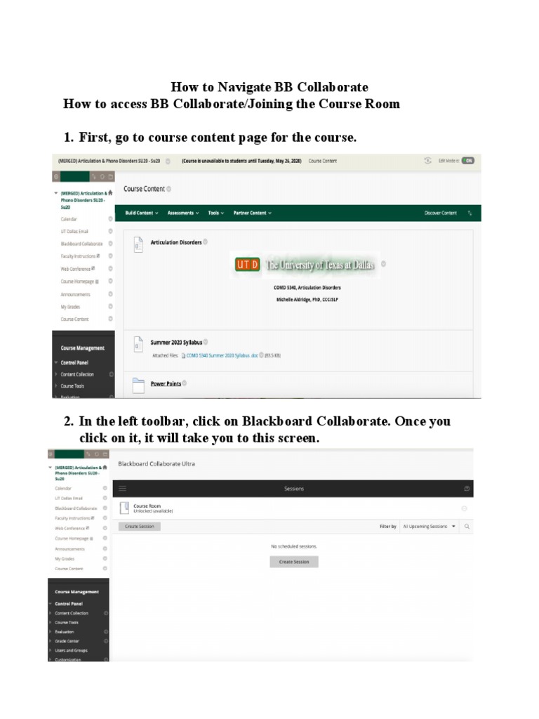 Accessing BB Collaborate Guide | PDF