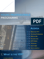 Young Professionals Programme-Overview PDF