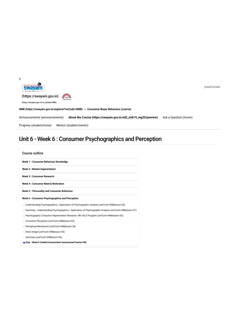 Consumer Psychographics Insights | PDF | Consumer Behaviour | Market ...