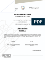 Fichas-Descriptivas Junio2020 Formato