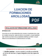 Evaluacion de Formaciones Arcillosas Avance