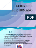 Circulaciondelserhumano