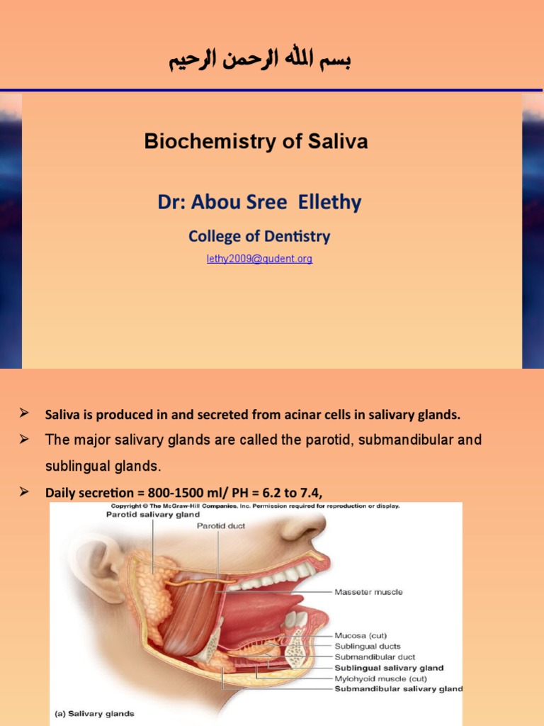 Saliva PDF Saliva Cell Biology